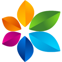 Raw Synergy logo 3